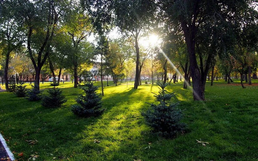 Парк Перовского Оренбург. Парк сквер Оренбург. Парк тополя Оренбург. Перовский сквер.