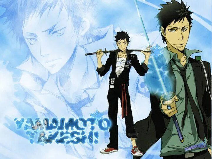 Reborn as swordman code
