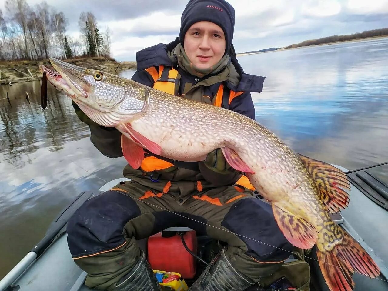 Большой улов рыбы. Рыбалка на щуку. Большая щука на спиннинг. Рыбалка на Оби. Рыбак с щукой.