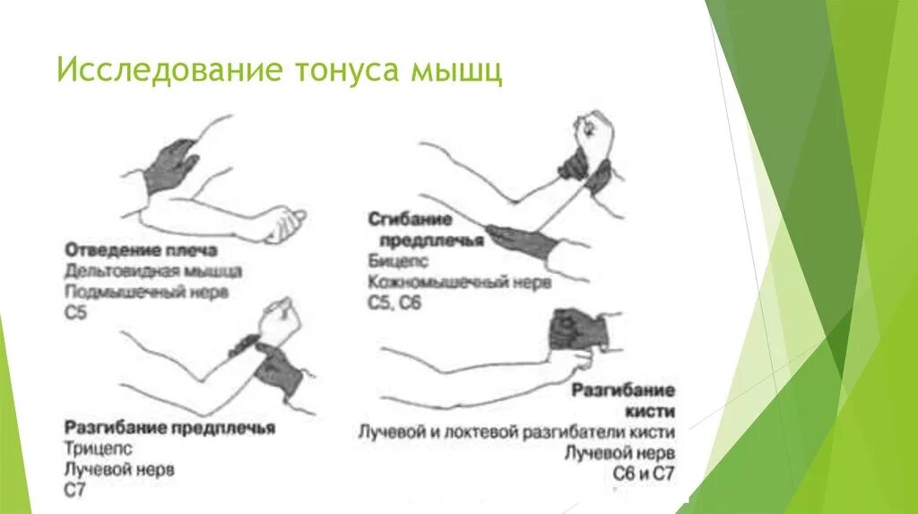 Как проверяется тонус мышц. Исследование мышечного тонуса неврология. Исследование мышечного тонуса конечностей неврология. Оценка мышечного тонуса в руках и ногах. Как отличить тонус