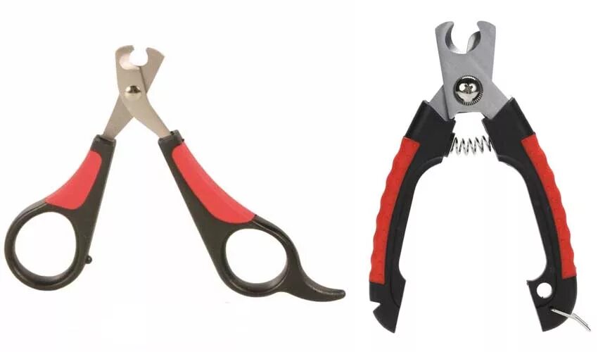 Когтерез для морских свинок. Резак когтерез ножницы для ногтей. Когтерез для собак. Когтерез для морских свинок. Когтерез hello pet ножницы малые.