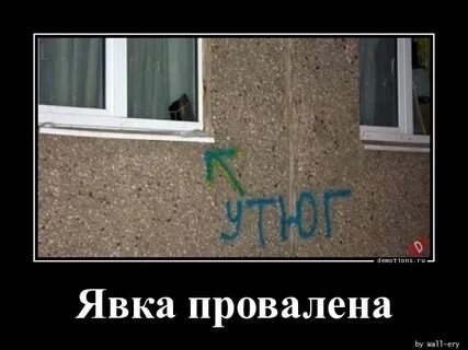 Следующая явка