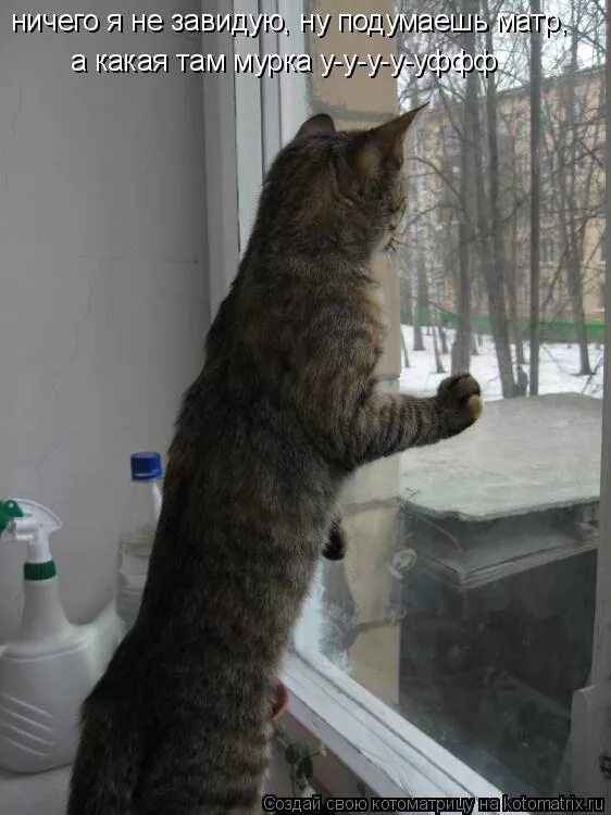 ты кто такой давай до свидания мем. подумай мем. ну подумаешь там. ну подумаешь там. я подумаю.