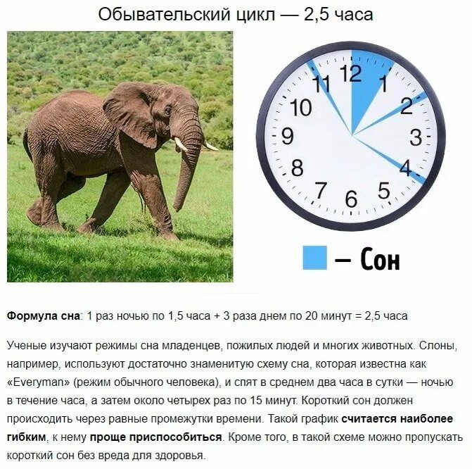Несколько часов в день