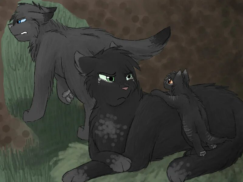 Грач кв. Коты воители cascadingserenity семья. коты воители грач и ветерок. коты воители грач и сумеречница. коты воители грач и сумеречница и листвичка.