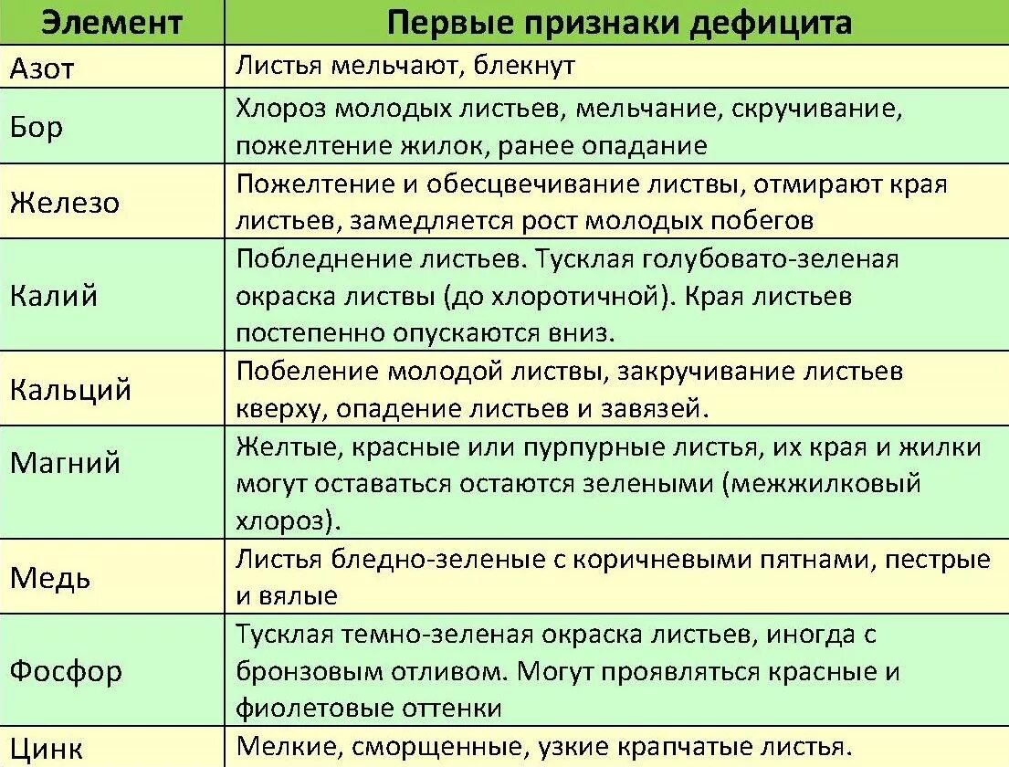 Календарь яблоня. Схема удобрения яблонь. Подкормка плодовых деревьев весной таблица. Схема внесения удобрений для плодовых деревьев и кустарников. Таблица подкормки деревьев весной.