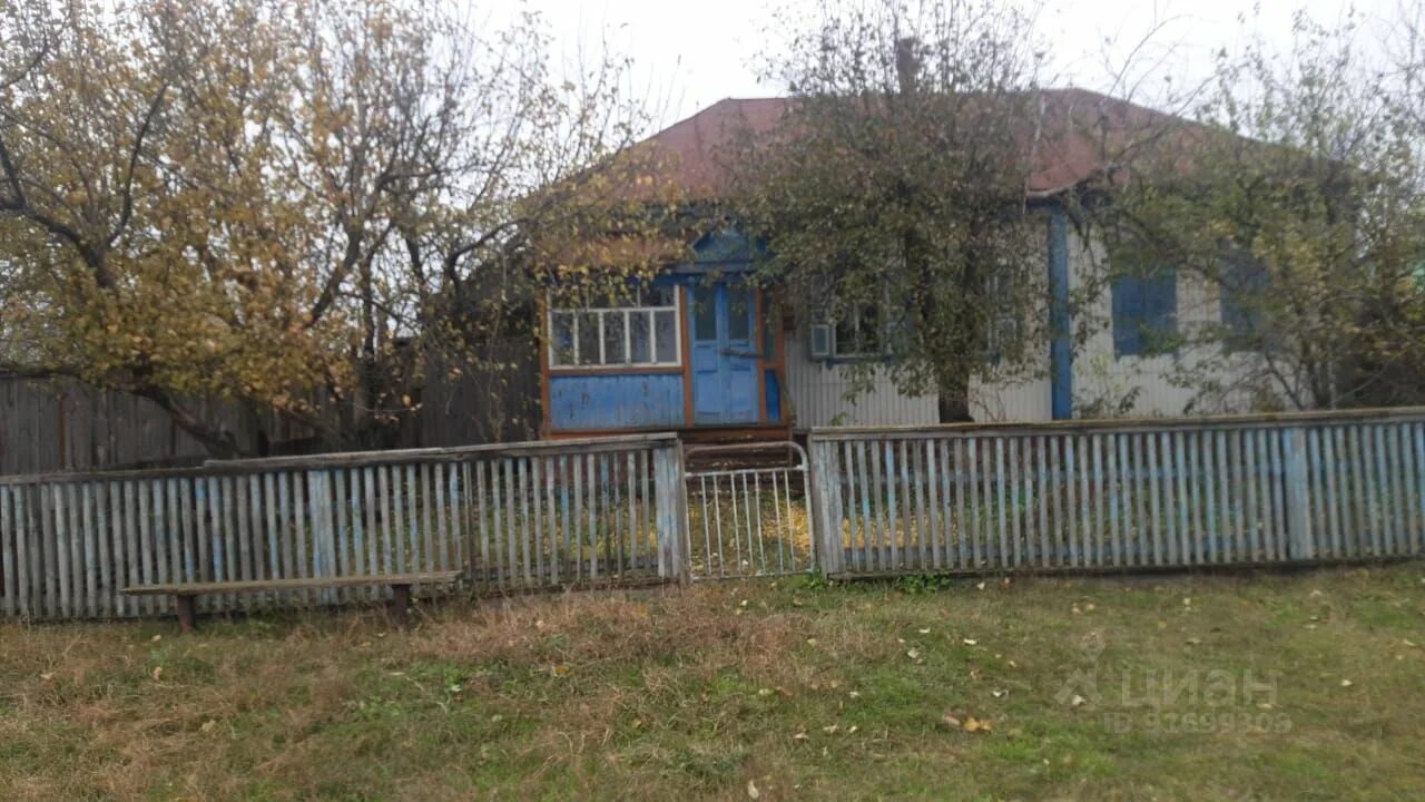 Село семено-александровка бобровского района воронежской области. Погода семено александровка бобровского р на. Село семено александровка бобровского района. Погода семено александровка бобровского р на. Семено александровка бобровский район лес.