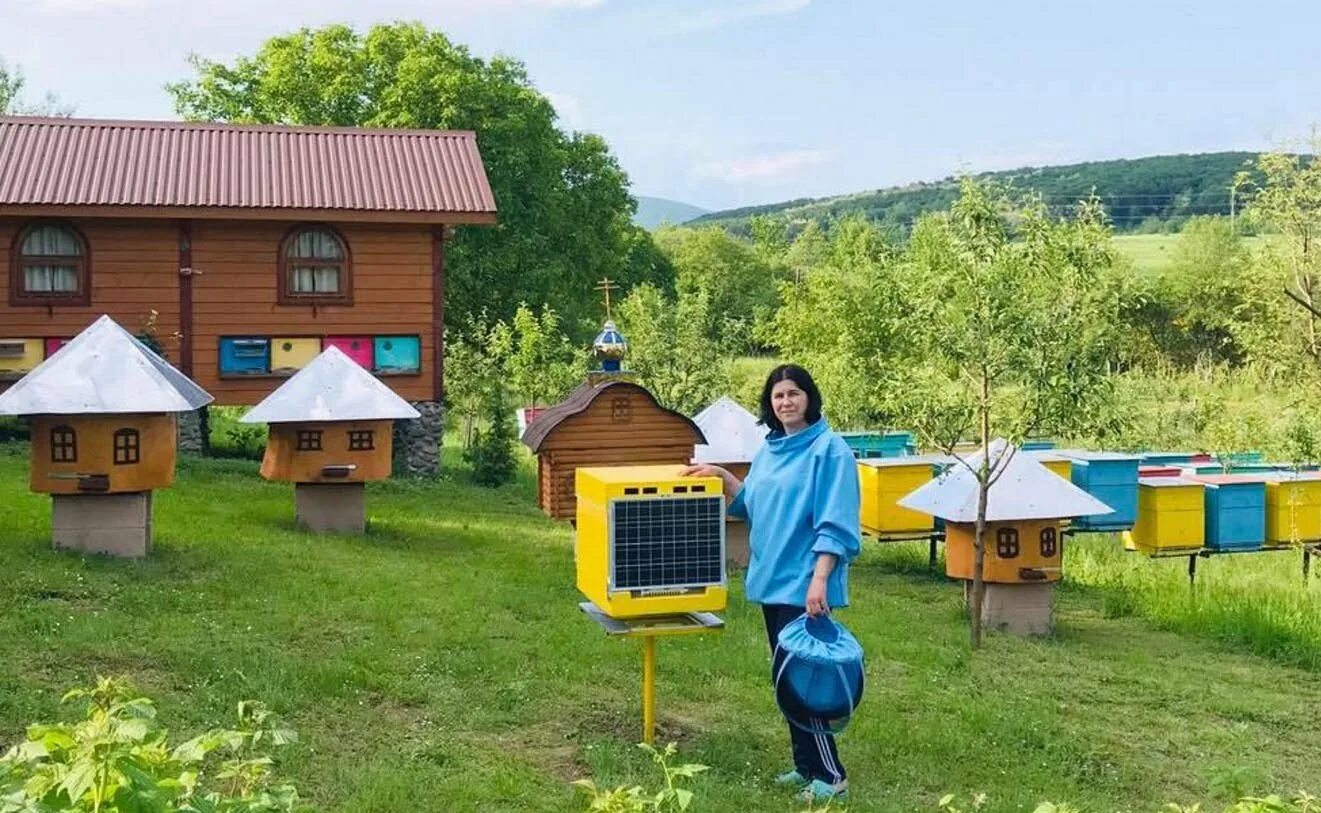 Пчеловод получает с умного улья данные. Пасека на дачном участке. домик пчеловода. пасека в польше. умный улей.