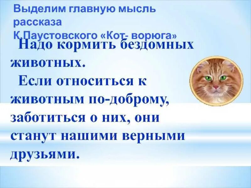 Краткое содержание коту. Краткое содержание коту