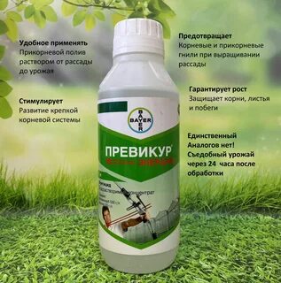 Фунгицид превикур энерджи 10 мл отзывы