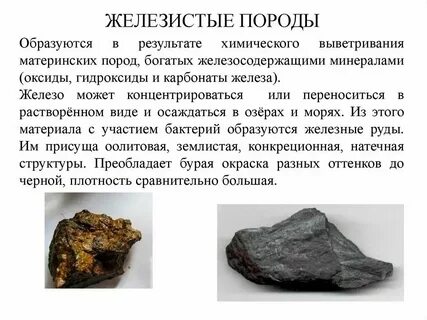 Кремнистая осадочная горная порода богатая кремнеземом