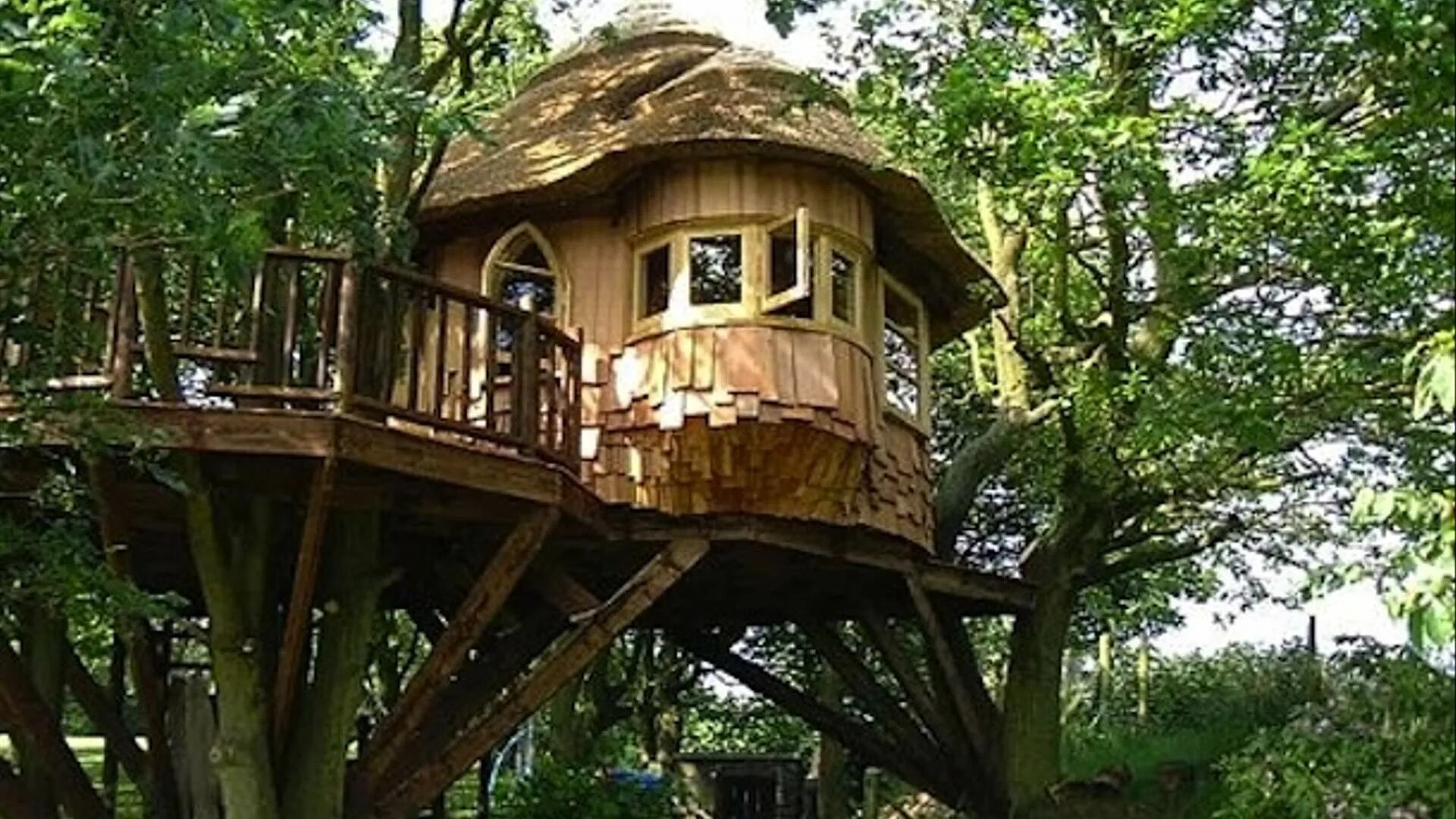 Дом на волшебном дереве. Дэна мелани домик на дереве. Дом на дереве. Сказочный дом на дереве. Сказочный дуб.