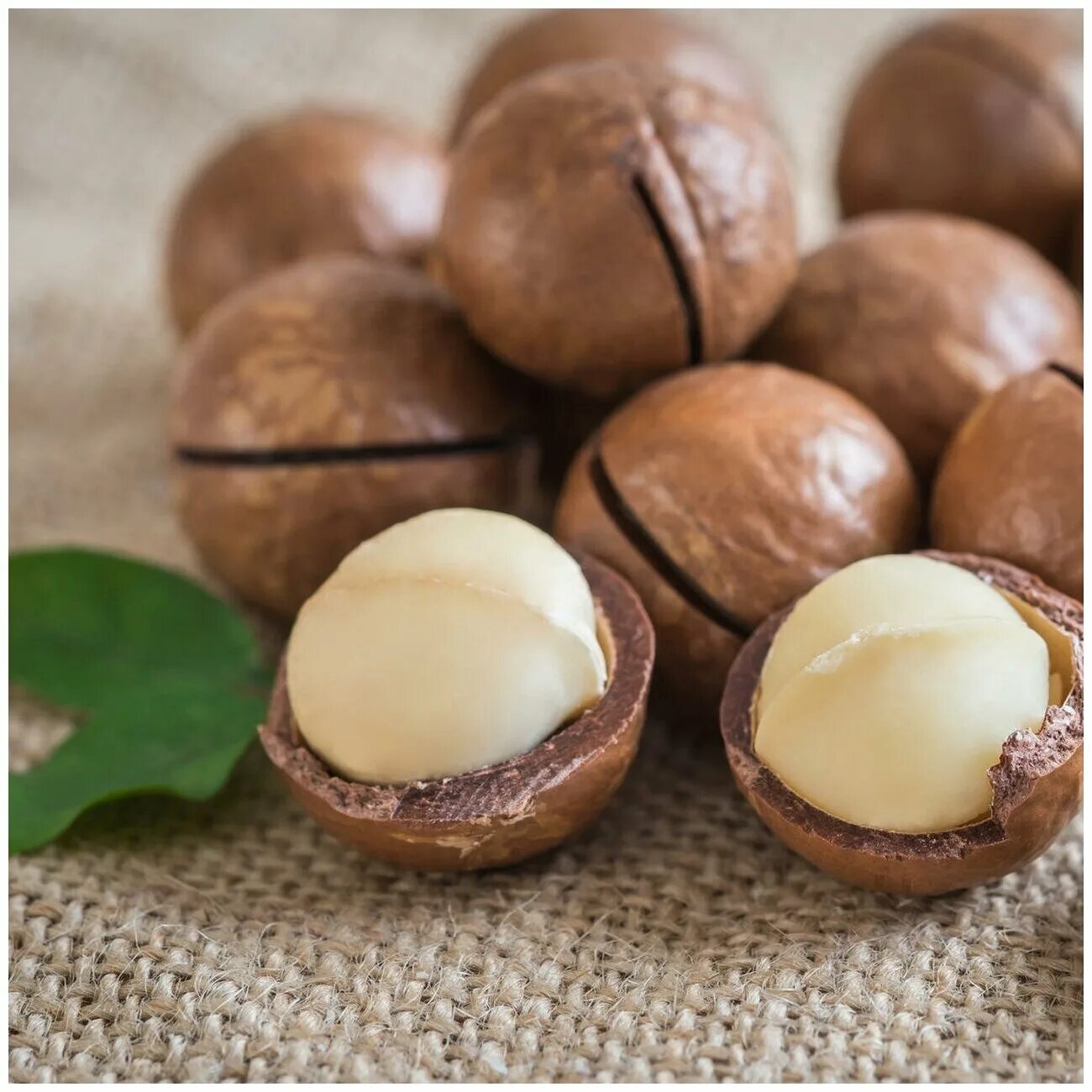 Дерево из скорлупы макадамии. Поделки из скорлупы макадамии. Что сделать со скорлупой макадамии. Скорлупа ореха макадамия. Украшения из скорлупы ореха макадамия.