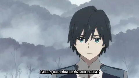 Meet even