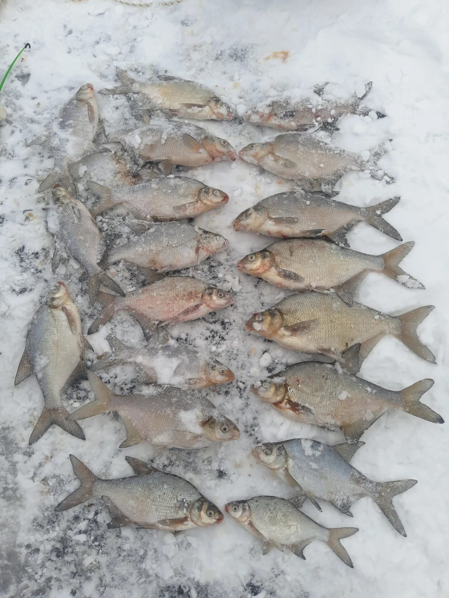 Заинское водохранилище Можайский. Цветковский Можайское водохранилище. Можайское водохранилище платина. Остров Горошенский Можайского водохранилища.