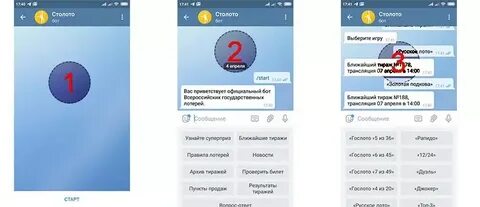 Узнать номер человека по телеграмму бот