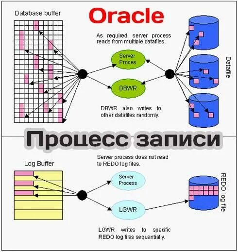 Oracle процесс. Файлы базы данных oracle. процессы oracle. журнал базы данных oracle. контрольные точки журнала базы данных.