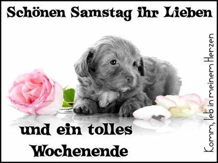 Bilder Schönen Samstag - GBPicsBilder.com Frohe Ostern Lustig Bilder, Woche...