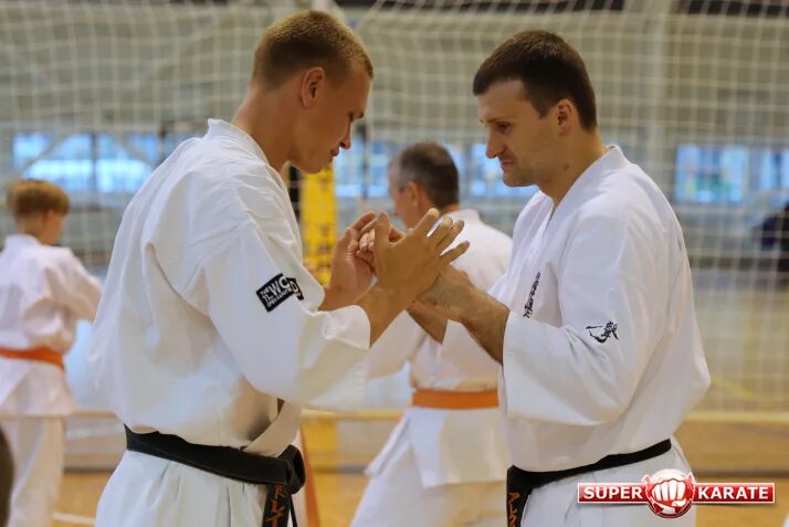 Мастер спорта калининград. Илан спорт калининград. Мастер спорта калининград. Киокушин каратэ калининград. Чемпион калининград.