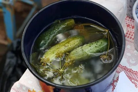 Соленые огурцы в ведре рецепт