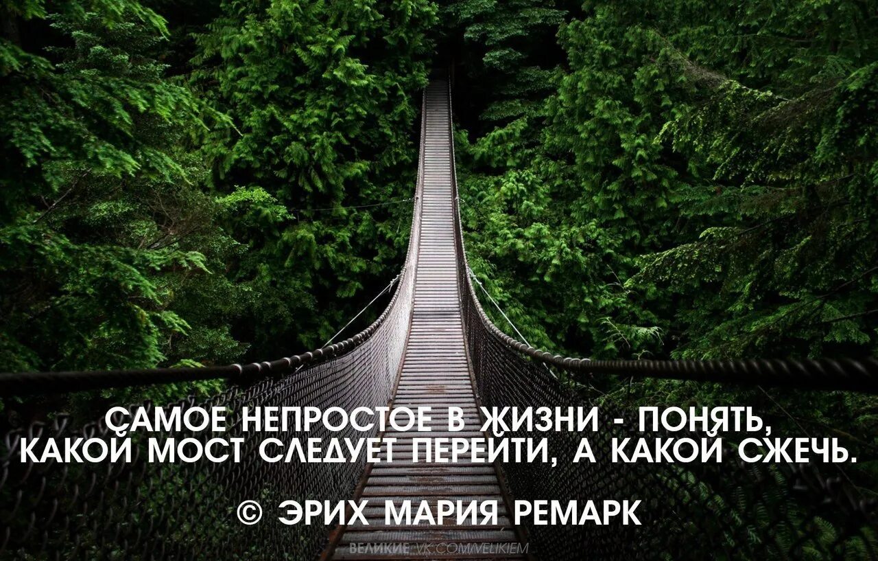 Переходя через мост мы слышали пение. Цитаты про мосты. Мост жизни. Цитата про мосты и жизнь. Самое непростое в жизни понять.
