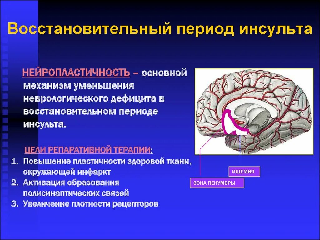 Лечение ишемического инсульта головного. Препараты при ишемическом инсульте головного. Восстановительные периоды инсульта. Механизмы ишемического инсульта. Лекарство при инсульте головного мозга.