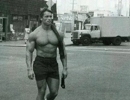 Старше арнольда шварценеггера