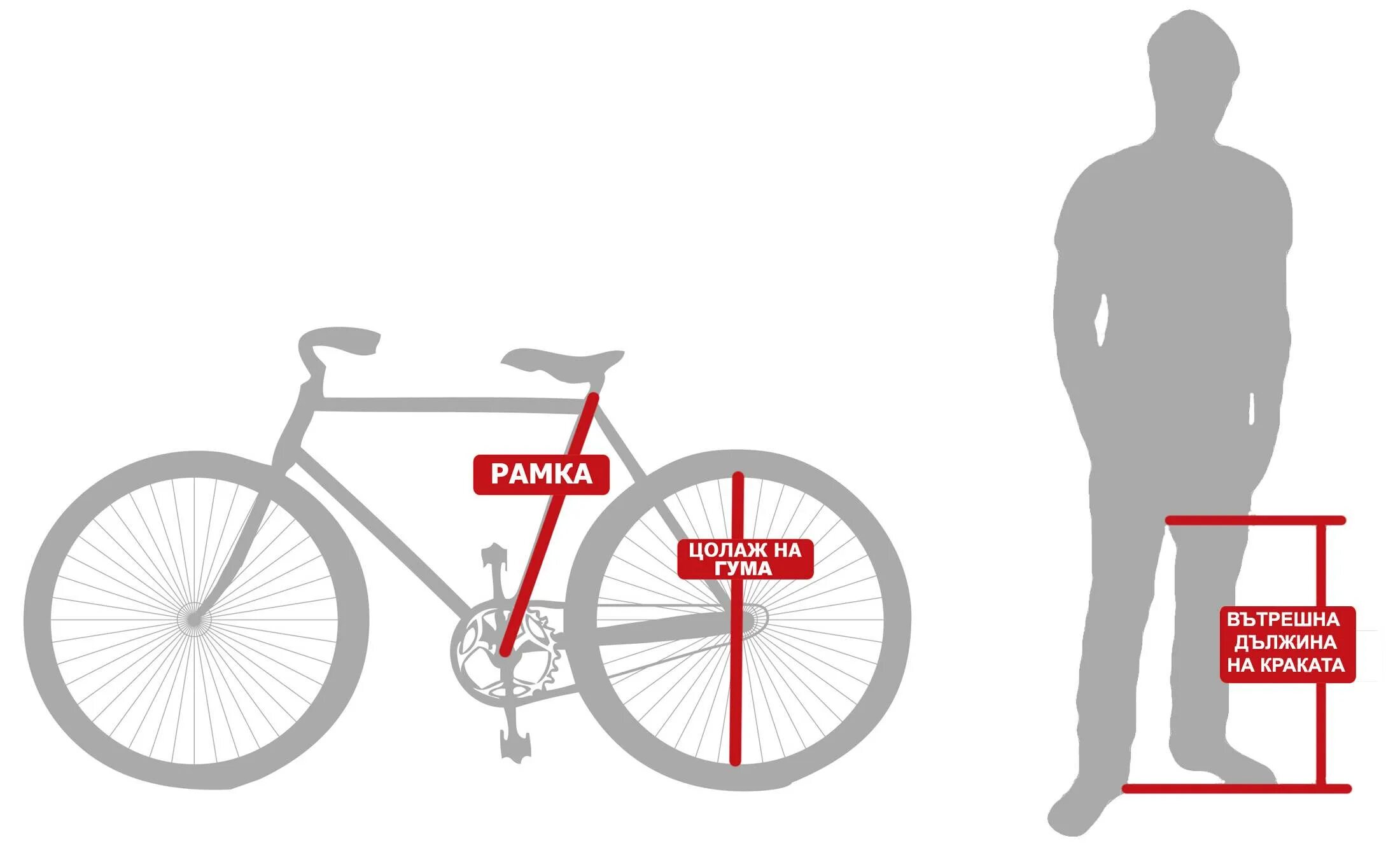 Как правильно подобрать велосипед по росту. Размер колес велосипеда. Рама велосипеда по росту. Размер рамы и колес велосипеда. Размер рамы велосипеда по росту.