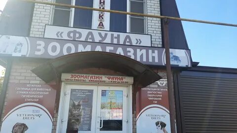 Клиники в каменске шахтинском