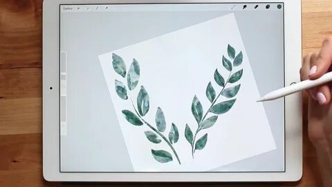 Курсы procreate