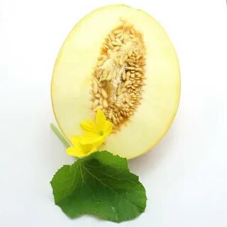 Дыня в разрезе