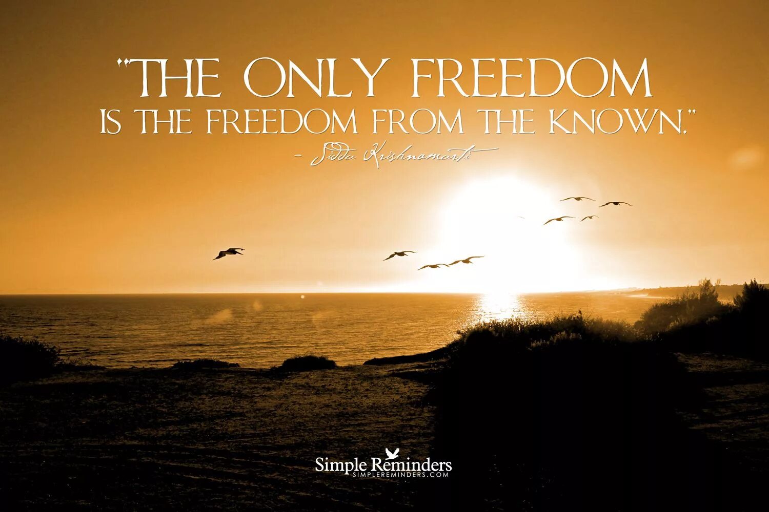 The only freedom. Свобода Freedom. The only Freedom туалетная вода. We only Freedom.