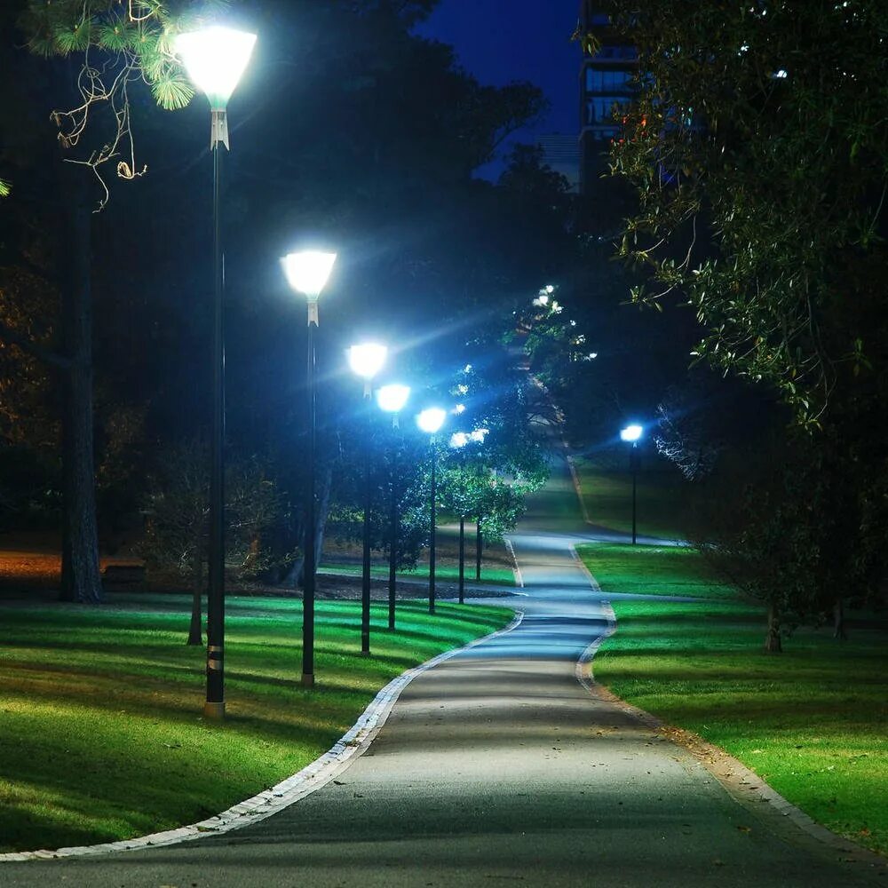 Вечером через парк. Электросталь парк городской парк ночь. Ночной парк БЕЛОКАН. Освещение в парках. Уличное освещение в парках.