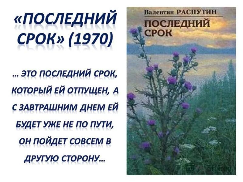 В г распутин последний срок. Последний срок Распутин иллюстрации. Презентация последний срок.