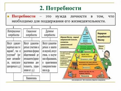 Общественные и естественные системы