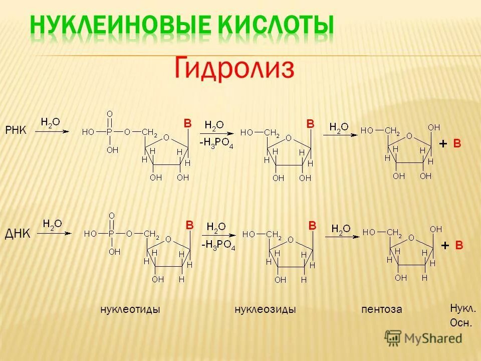 Кислотный гидролиз это