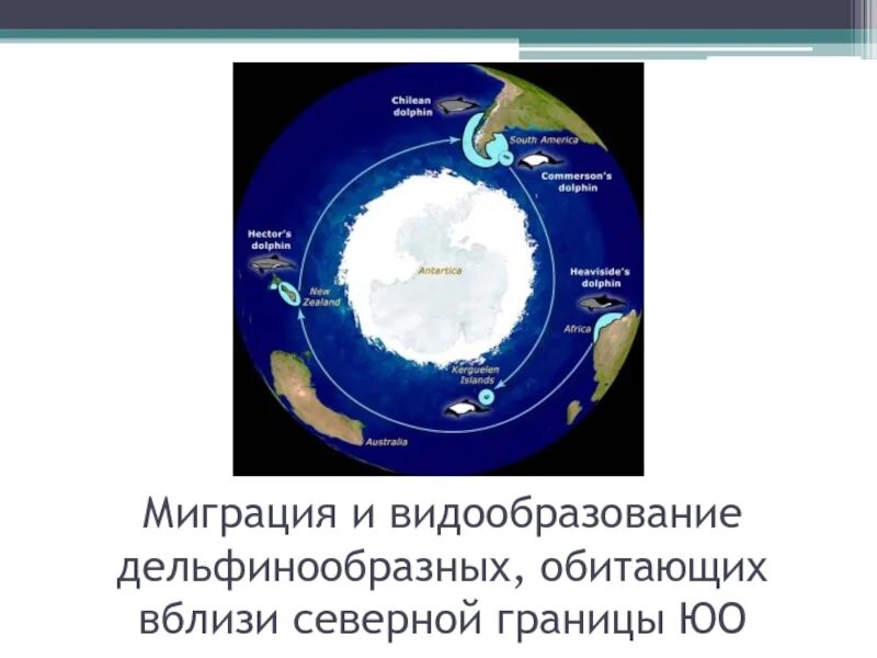 Границы Южного океана. Границы Южного океана на карте. Южный океан на карте. Южный океан презентация. Океан граничит с сушей