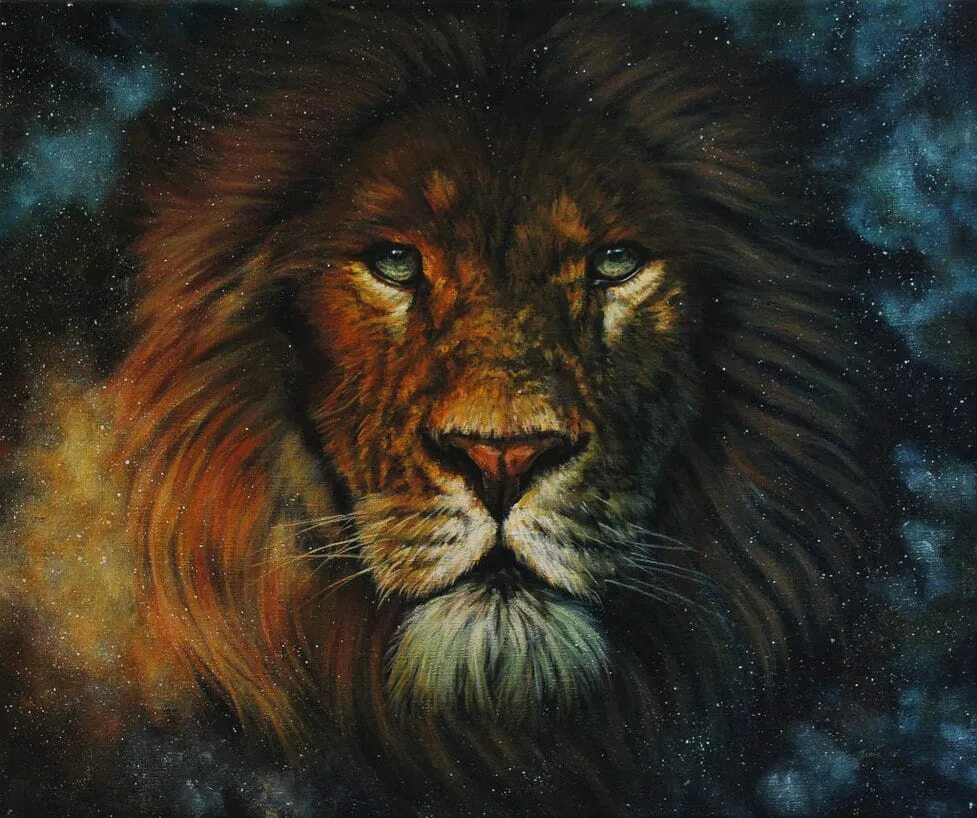 Красивый лев. Фото льва на рабочий стол. Достижение лев. Достижение лев. Достижение лев.