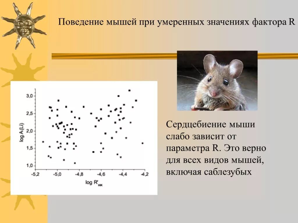 Задача про мышей. Поведение мышей. Размер мыши. Сердцебиение у мышек. Поведение грызунов.