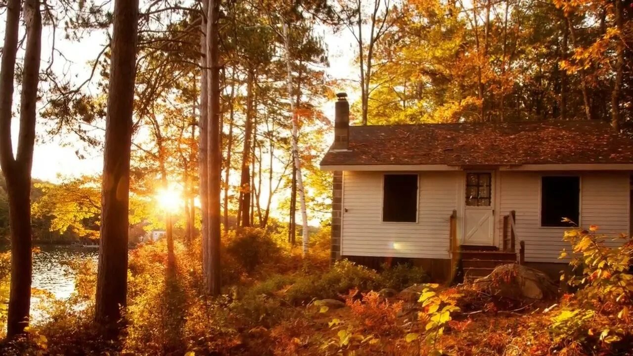 Лесной дом текст. Домик в лесу. Дом в лесу. Осень. Осенний дом.