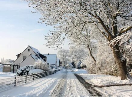 The snow