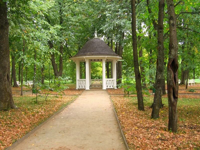 Музей тарханы барский пруд. Лермонтовский сад. Дальний сад тарханы. Тарханы музей заповедник лермонтова. Тарханы сад лермонтова.