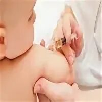 Куда делается краснуха