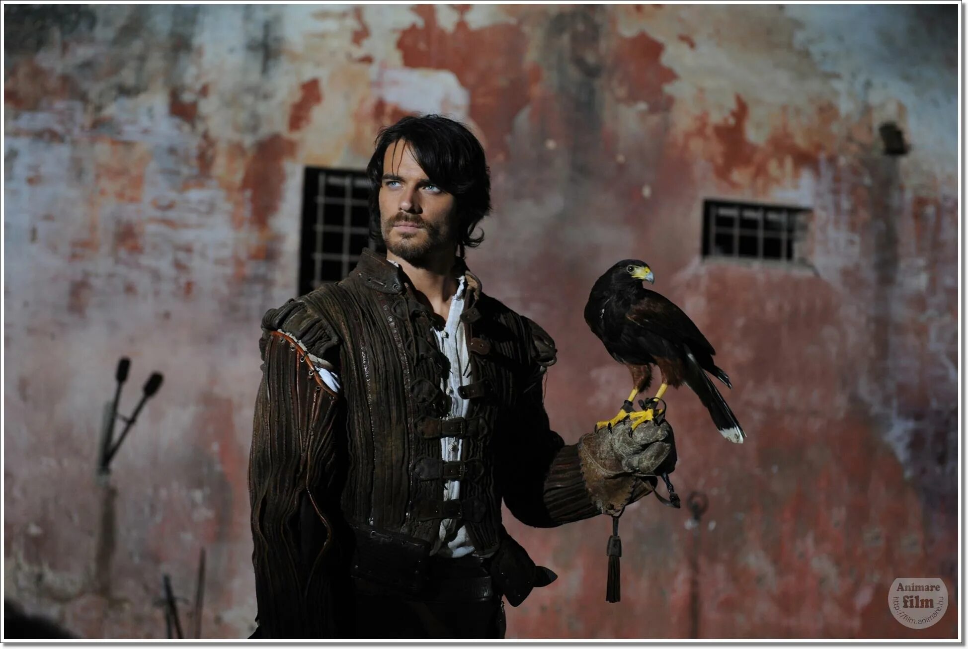 Джулио берутти ястреб и голубка. Ястреб и голубка. Ястреб и голубка. Ястреб и голубка. Ястреб и голубка.