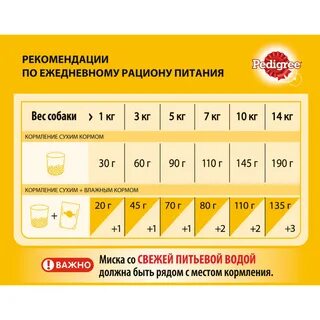 Каким кормом можно кормить собак