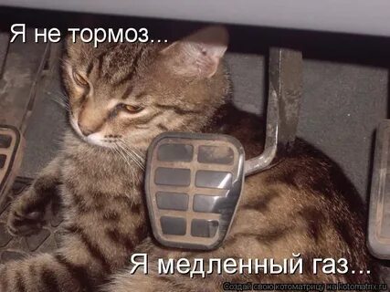 Включи чтоб не зависал