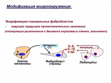 Модификация образования