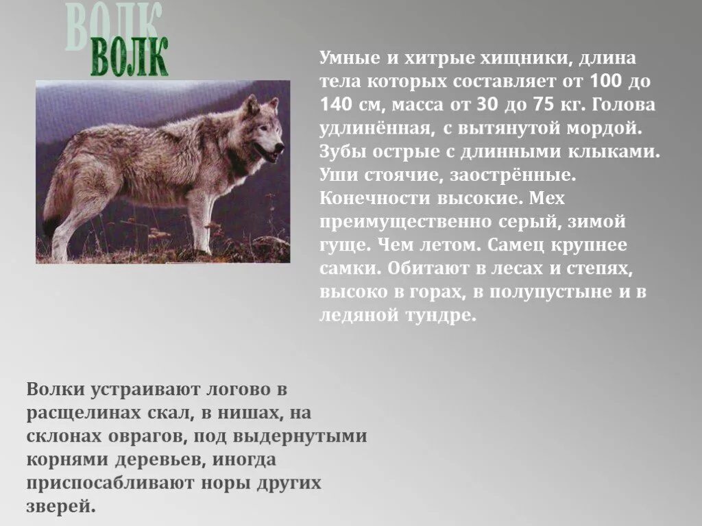 Рассказы о диких животных