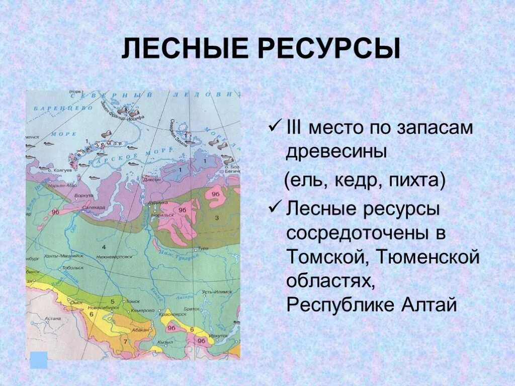 Какими ресурсами богата западная сибирь