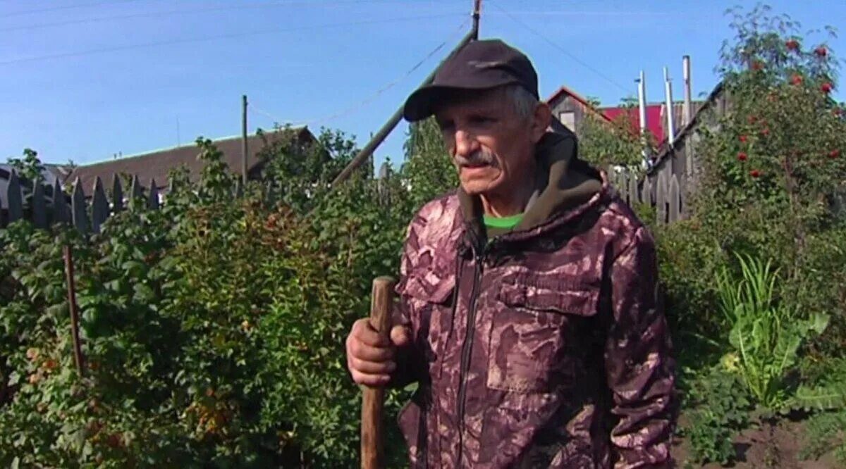 Дедушка в огороде. Дед на даче. Дед в огороде. Старик в огороде.